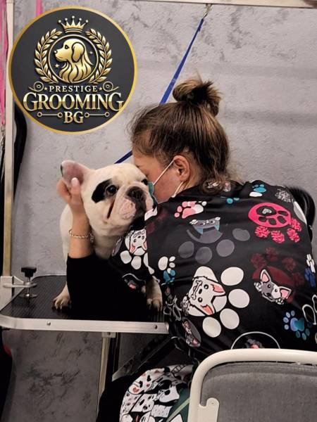 Prestige Grooming – Profesionalno šišanje pasa u Beogradu